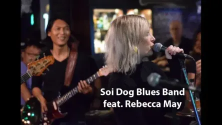 3M - Soi Dog Blues Bans Featuring Rebecca May - Khlong Toei Nuea, Watthana, Bangkok 10110